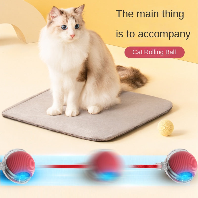Smart Cat Toy Ball