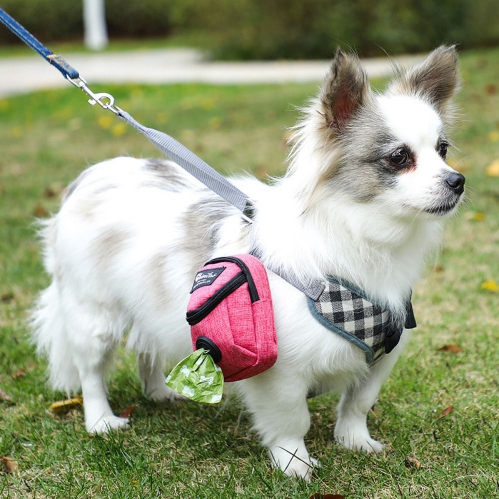 Puppy Training Treat Pouch